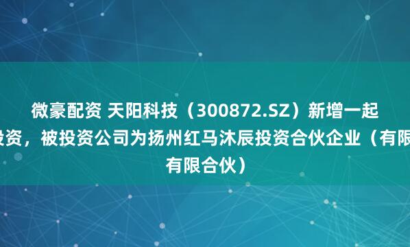 微豪配资 天阳科技（300872.SZ）新增一起对外投资，被投资公司为扬州红马沐辰投资合伙企业（有限合伙）