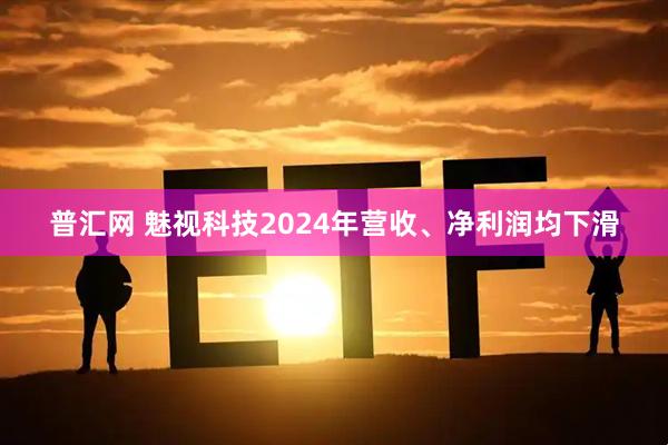 普汇网 魅视科技2024年营收、净利润均下滑