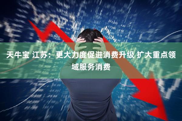 天牛宝 江苏：更大力度促进消费升级 扩大重点领域服务消费